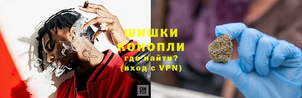гидра Арсеньев