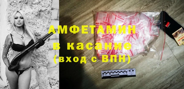 гидра Арсеньев