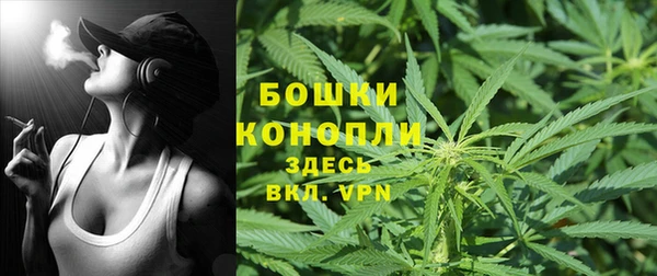 гидра Арсеньев