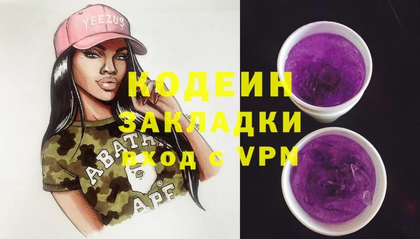 гидра Арсеньев