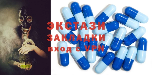 гидра Арсеньев
