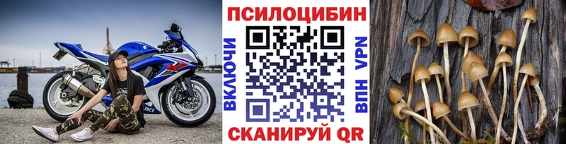 Псилоцибиновые грибы мицелий  Сковородино 